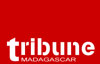 tribune-logo